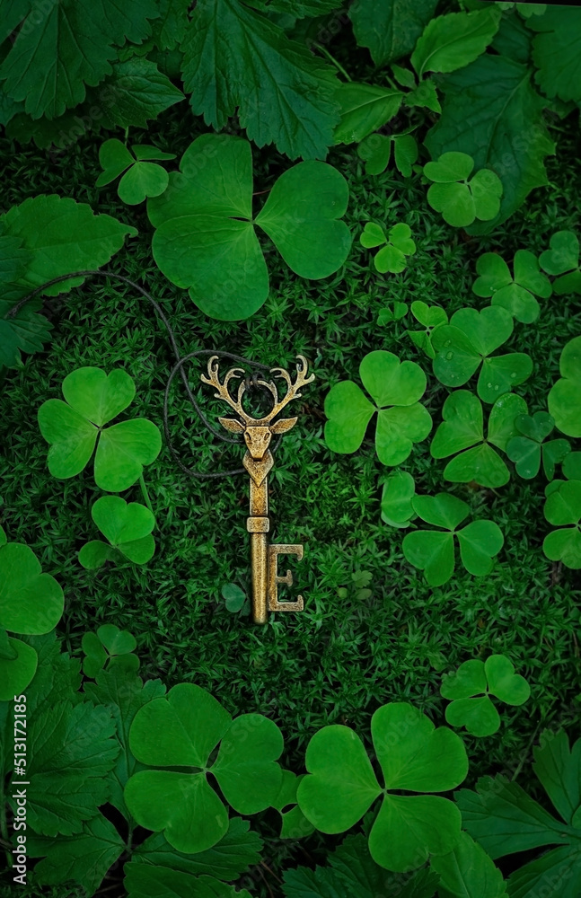 beautiful vintage key and clover leaves on dark moss natural abstract background. spring summer season. magical amulet of deer shape, symbol of secret, mystique, soul of forest. top view - obrazy, fototapety, plakaty 