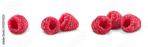 Set of realistic raspberries isolated on white background. Vector Illustration.
