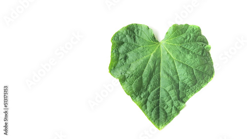 Heart-shaped green leaf on white background