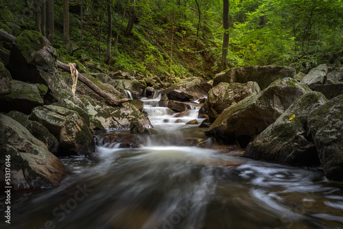 waterfall in the forest