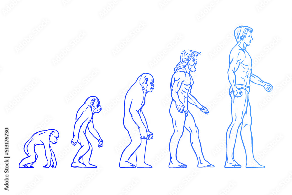  Human evolution Vector illustration - Hand drawn - Out line