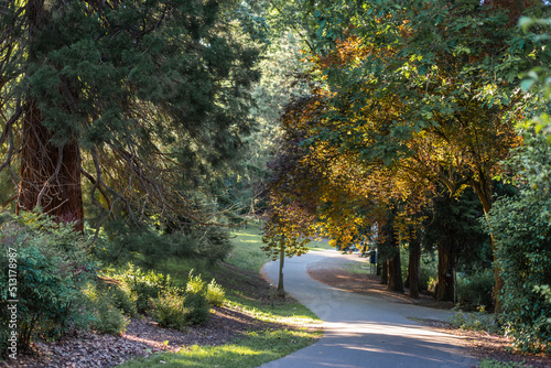 Winding path through lush setting of Laurelhurst Park in Portland, Oregon