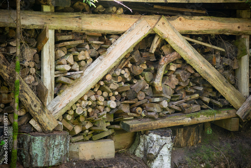 Fototapeta Naklejka Na Ścianę i Meble -  Firewood ridge with various trees, secured with wooden boards and covered with a roof