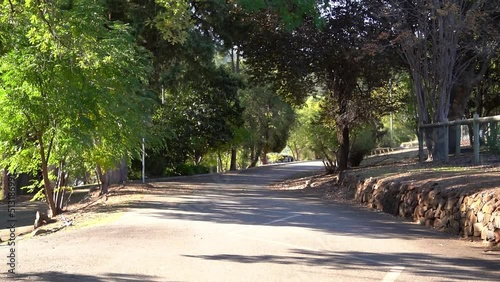path in the park
