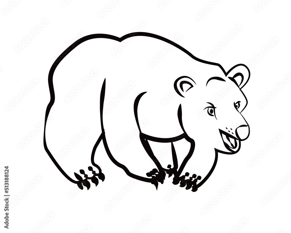 bear illustration in line