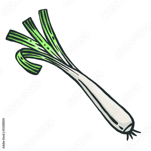 Green onion icon in a flat design on a white background