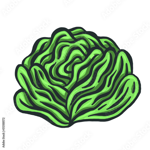 Lettuce icon in a flat design on a white background