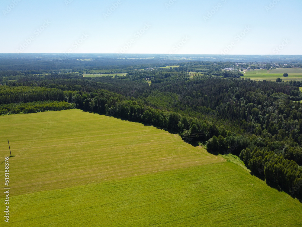 Top down view of a rural forest area. Cereal field next to a green forest. Top down view of a rural forest area. Cereal field next to a green forest.