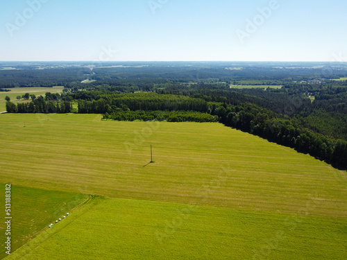 Wallpaper Mural Top down view of a rural forest area. Cereal field next to a green forest. Torontodigital.ca