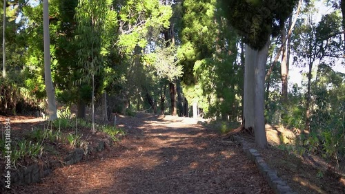 path in the park