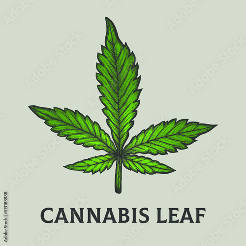  Marijuana cannabis leaf - Color