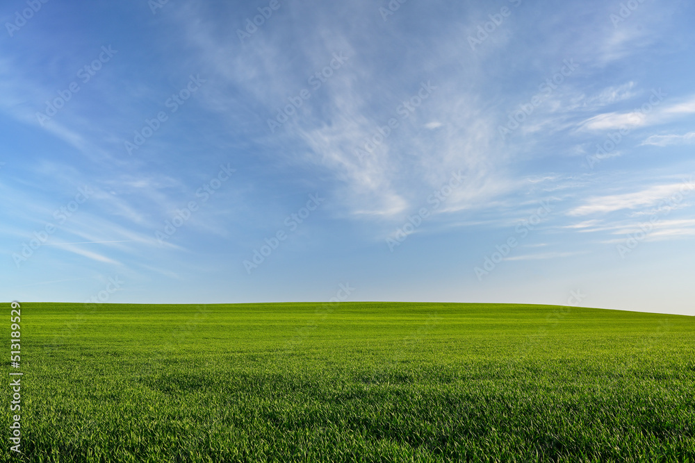 Breathtaking green field with superb sky above (Windows like).