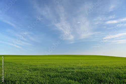 Breathtaking green field with superb sky above (Windows like).