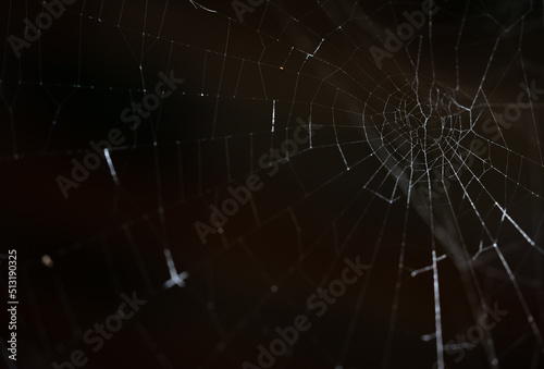 Foto Spider web against black background