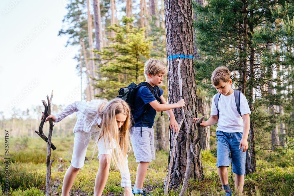 Three children collecting wood building camp in summer vacations. Friends gathering sticks at forest. Two brothers and sister at nature. Family in picnic. Three children collecting wood building camp in summer vacations. Friends gathering sticks at forest. Two brothers and sister at nature. Family in picnic.