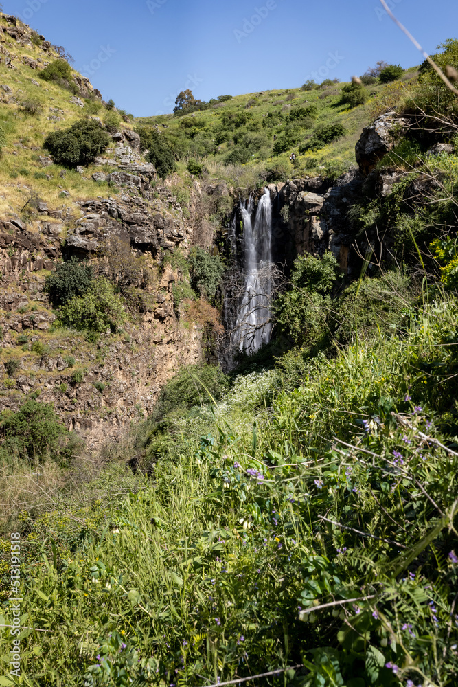 The second highest waterfall in Israel in the The waterfall Jalaboun on the shallow mountain Jalaboun stream with crystal clear water and shores overgrown with trees and grass