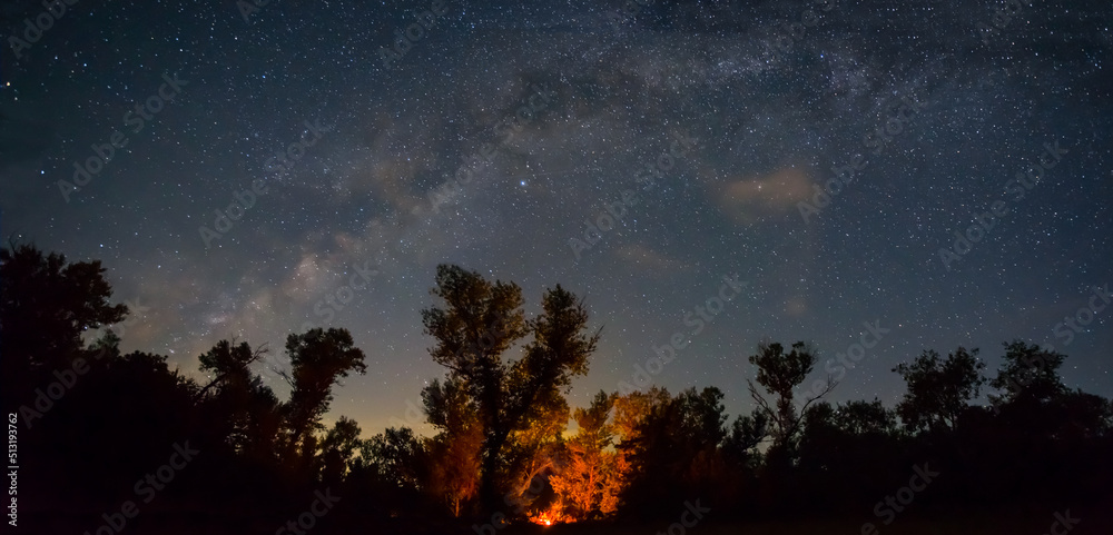 touristic stand with camp fire in night forest under dark starry sky, summer camping scene touristic stand with camp fire in night forest under dark starry sky, summer camping scene