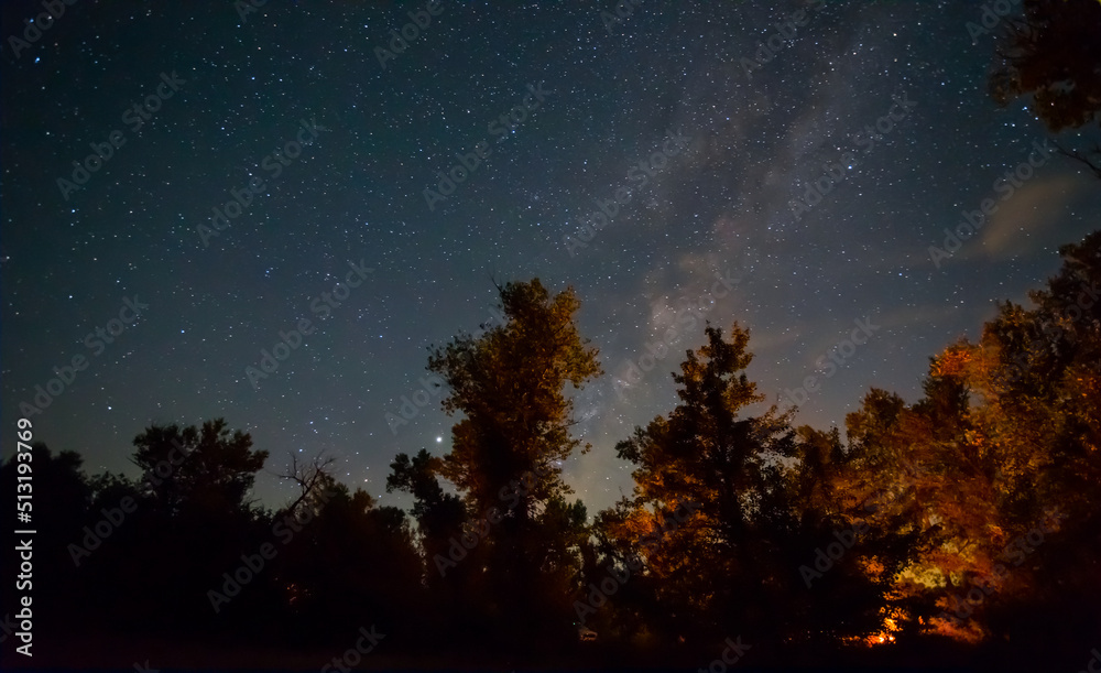 touristic stand with camp fire in night forest under dark starry sky, summer camping scene