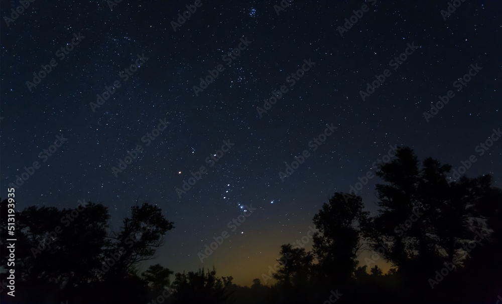 Naklejka premium Orion constellation on starry sky above dark forest silhouette