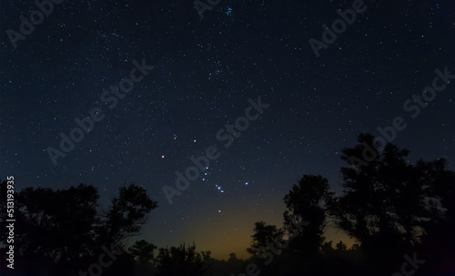 Orion constellation on starry sky above dark forest silhouette