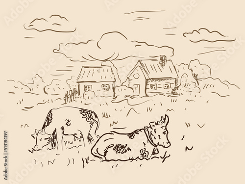 Dairy farm, rural landscape. Cows on the meadow, vintage illustration