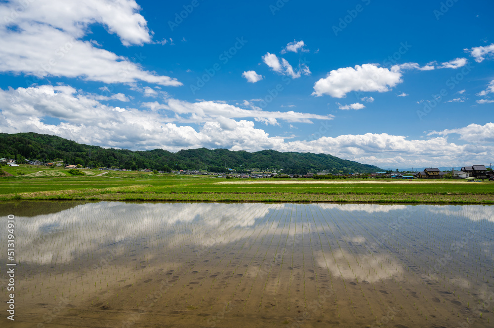 初夏のさわやかな田園風景 初夏のさわやかな田園風景