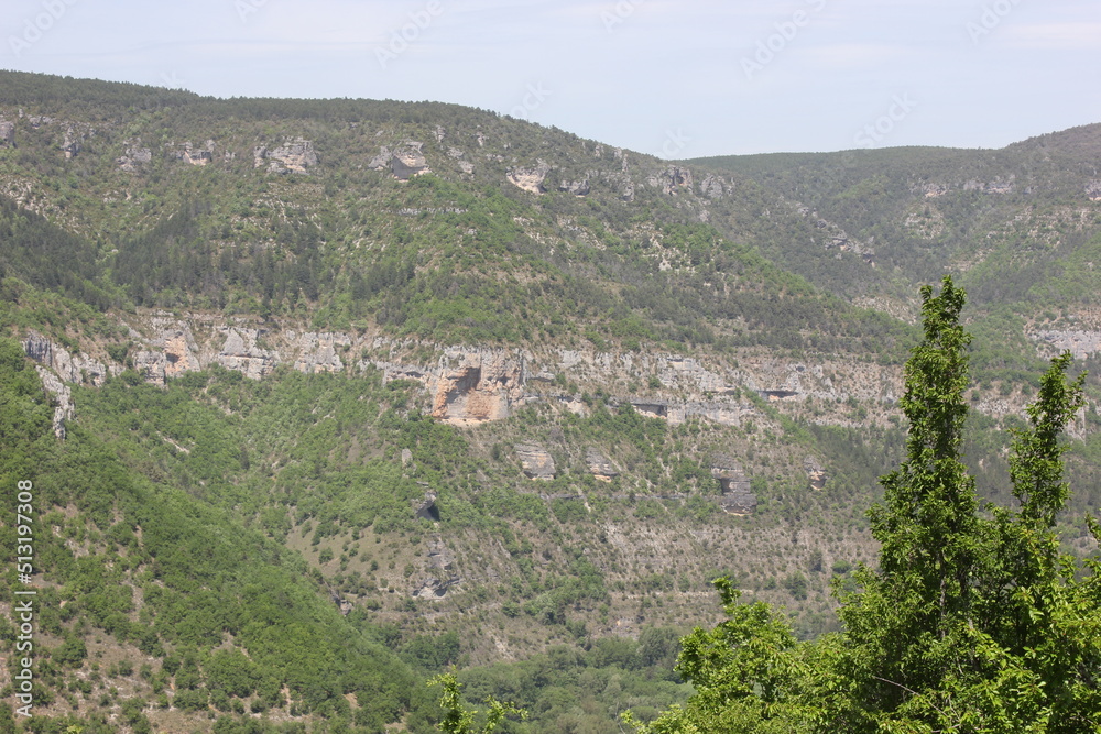 Obraz premium panorama
