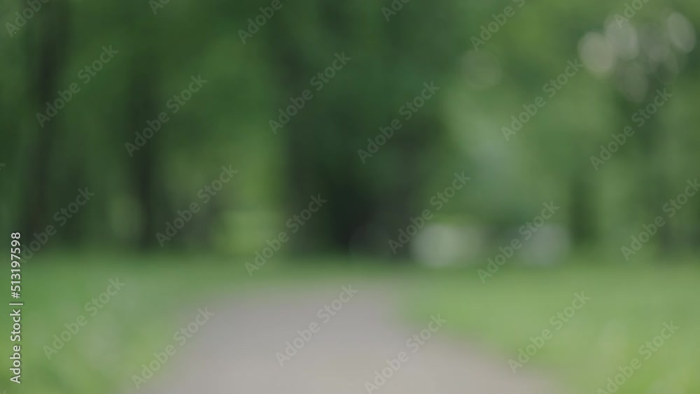 Blurred bokeh background of summer time in a park Blurred bokeh background of summer time in a park