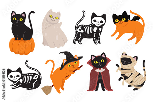 Halloween cats. Black kitten in Dracula vampire costume, mummy animal and witch cat. Ghost pet, scary skeleton and kitty on pumpkin vector set