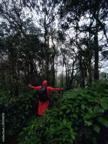 red person in the forest