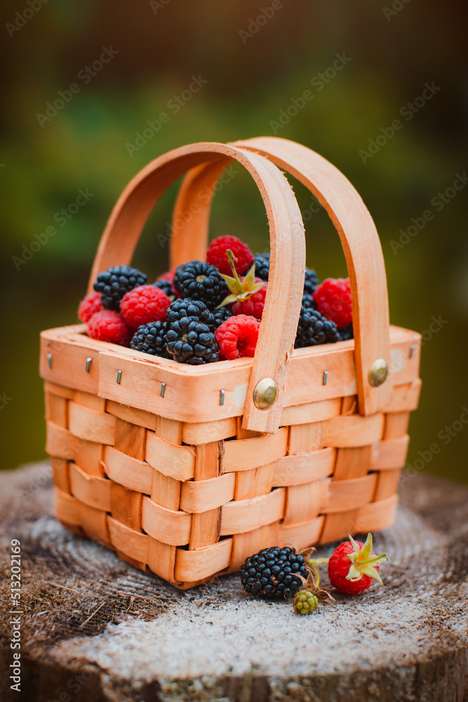 Fresh berries in basket. close-up of summer raspberries and blackberries outdoors