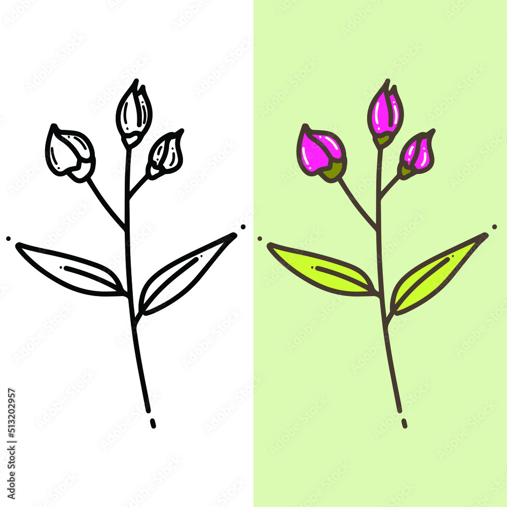 Obraz premium beautiful hand drawn flower, editable vector file for all of your graphic needs.