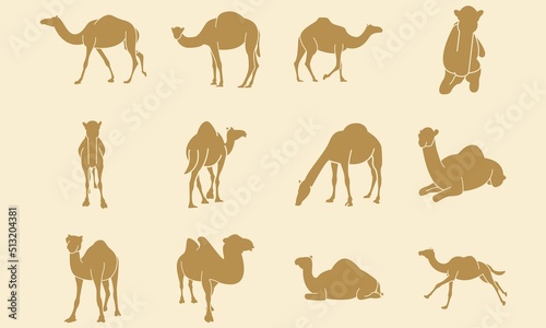 12 Silhouette of Camels With Detail and Different Perspective