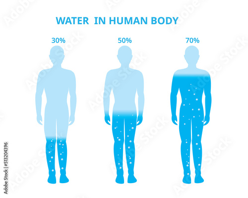 Water in the human body. Female, Difference percentage . Vector Illustration