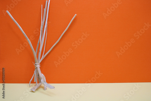 Bunch of twigs on an orange and cream background with space for text