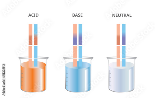 Litmus test, Acid, Base, Neutral Ph Paper test. Vector Illustration 