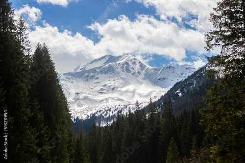 Widok na Giewont, Zakopane