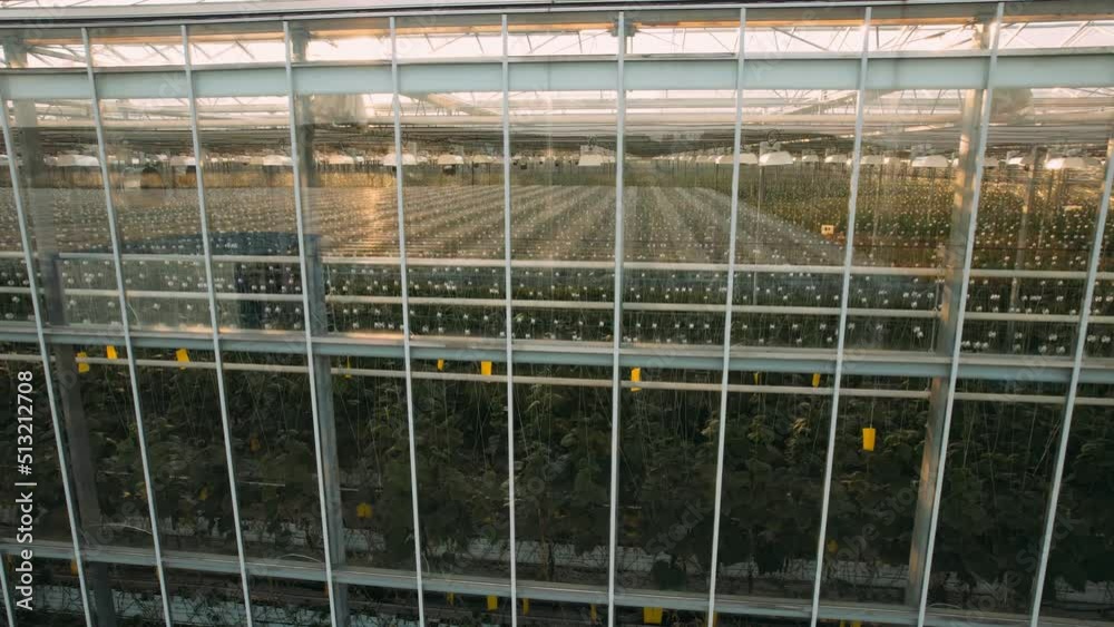 Modern High-tech Greenhouse View From Above. Large Industrial Technology Greenhouses. Greenhouse With Transparent Glass Roof Aerial View Large Greenhouse With Vegetables. Flora. Ecosystem. Agro. Eco. Modern High-tech Greenhouse View From Above. Large Industrial Technology Greenhouses. Greenhouse With Transparent Glass Roof Aerial View Large Greenhouse With Vegetables. Flora. Ecosystem. Agro. Eco.