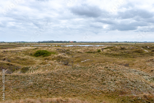 View on a dune landscape  national park The Slufter on the island of Texel  Netherlands