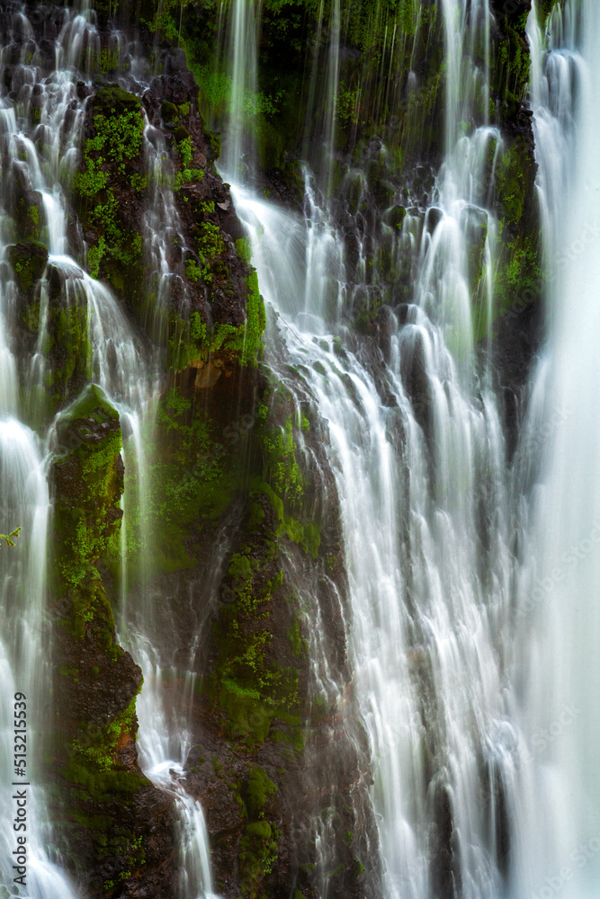 Burney Falls in McArthur-Burney Falls Memorial State Park, in Shasta County, California