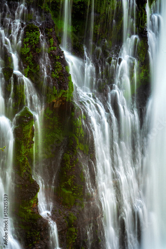 Burney Falls in McArthur-Burney Falls Memorial State Park  in Shasta County  California