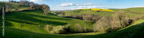 Europe  UK  England  Devon panorama Dart valley Totnes