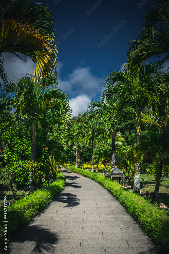 Fototapeta premium Walking path in the exotic park