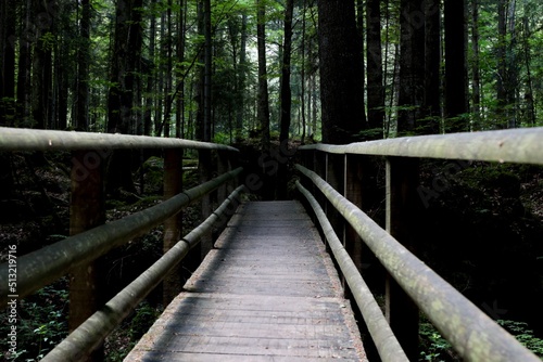 wooden bridge in the forest at blausee bern Switzerland 