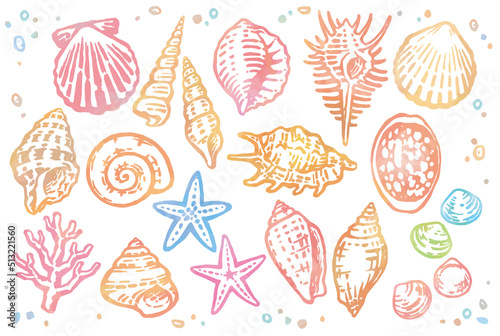 水彩画風、海の貝、ヒトデ、サンゴのセット。ベクターイラスト素材。