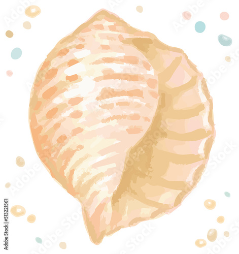 水彩画風、海の貝。ベクターイラスト素材。