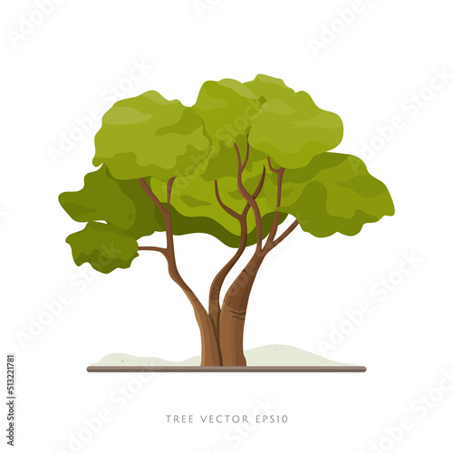 Big tree vector illustration isolated on white background