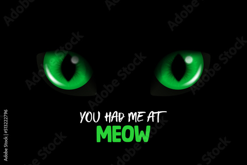 You Had Me At Meow. Vector 3d Realistic Green Glowing Cats Eyes of a Black Cat. Cat Look in the Dark Black Background Closeup. Glowing Cat or Panther Eyes