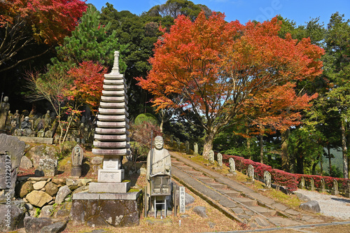 雷山千如寺大悲王院の紅葉 photo