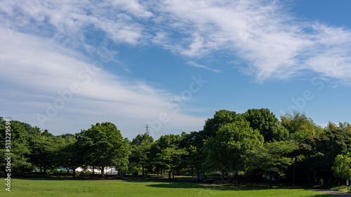 Принти на полотні 朝の公園は青空が似合う
